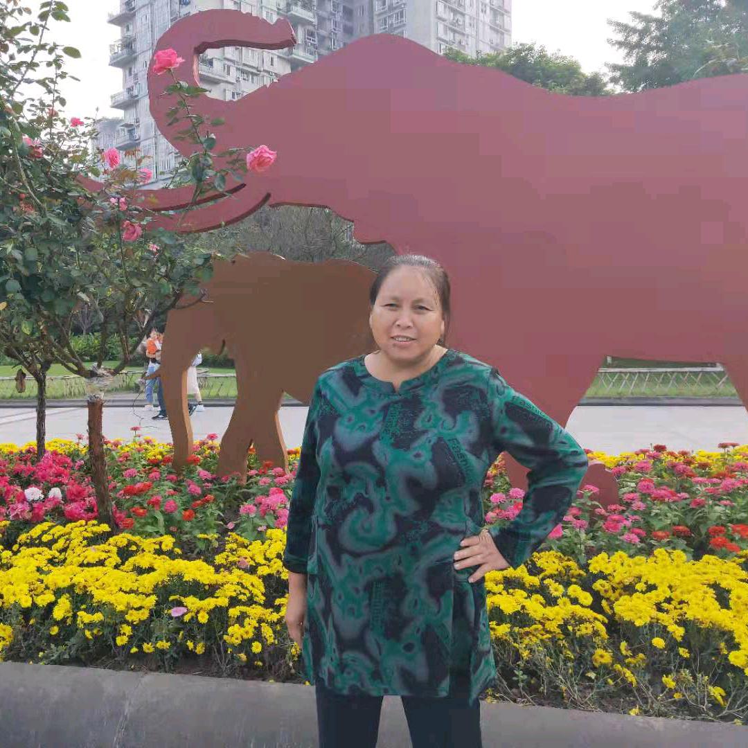 用户4574369941119
