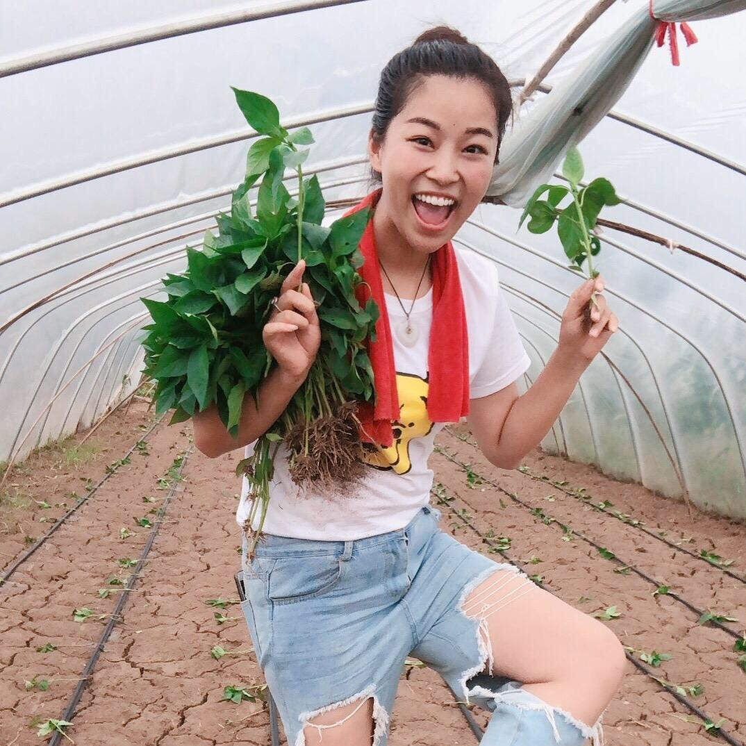 🔥元宝🔥@抖音