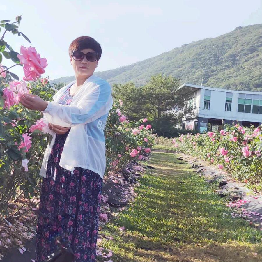 丰禾农资王红丽