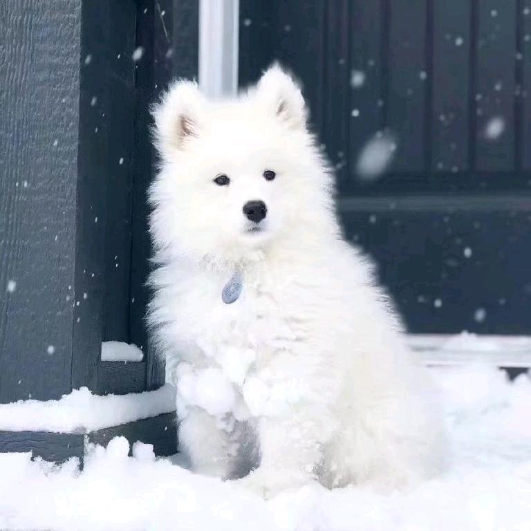 尘、梦