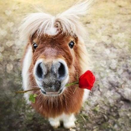 或许，命中注定