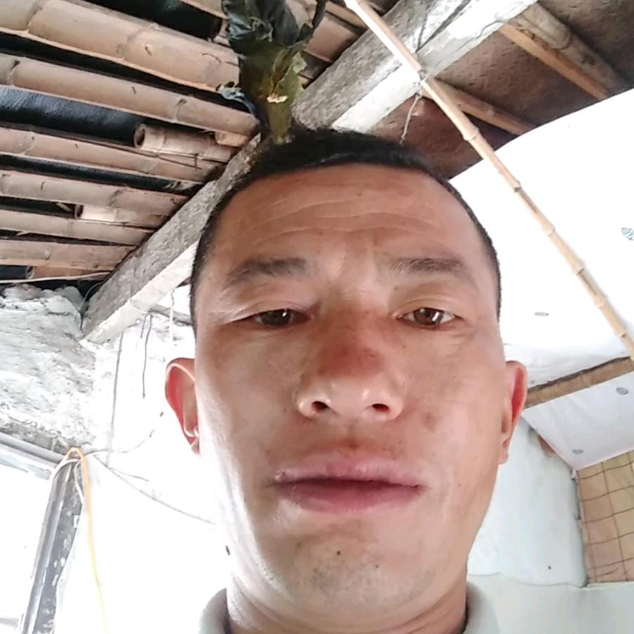 沙溪l小黄牛肉批发部