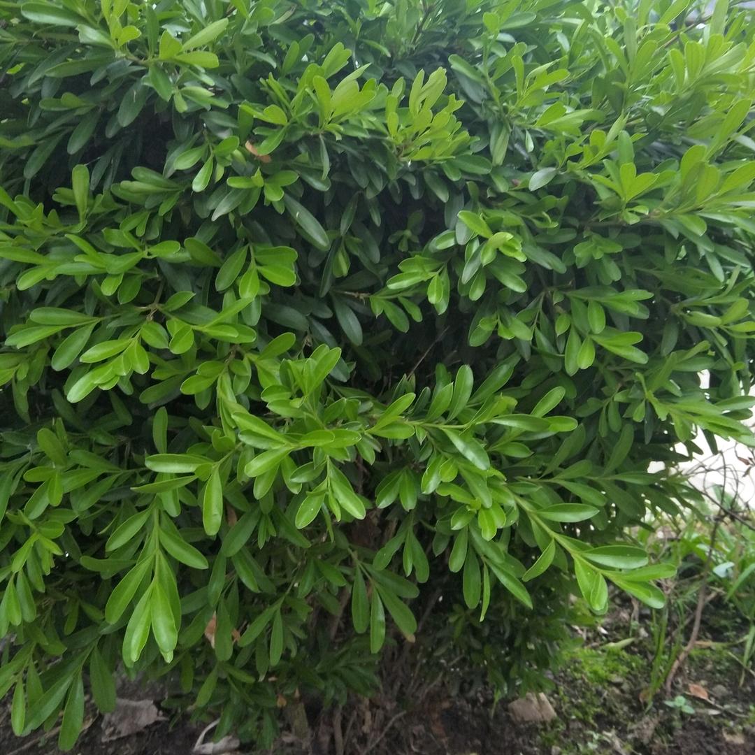 平平淡淡过一生