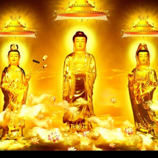 心已沉默🇸🇬