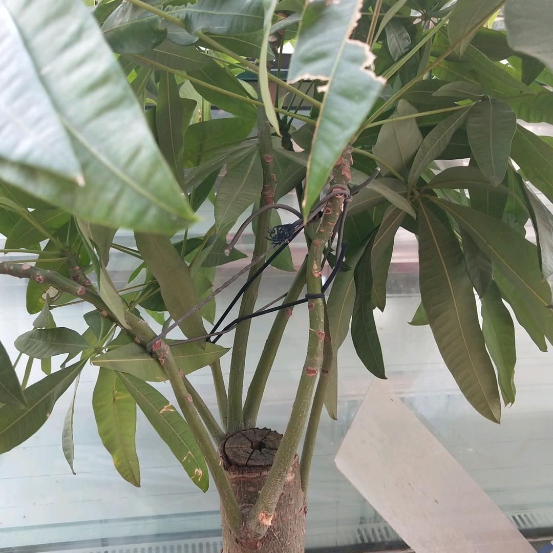 笑口能解古今愁。