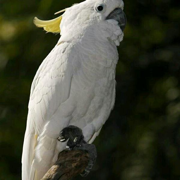 懂得珍惜才配拥有，在乎才会长久