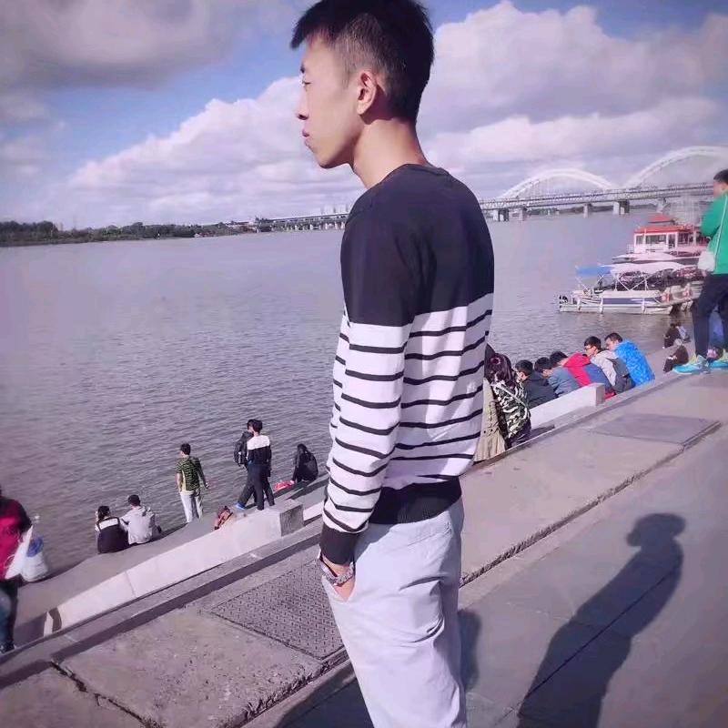 王者荣耀专业辅助-守护