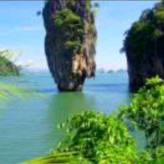 你来不来我都等你