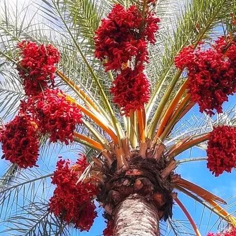 用户家和万事兴