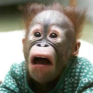 万里镐霸🇨🇳