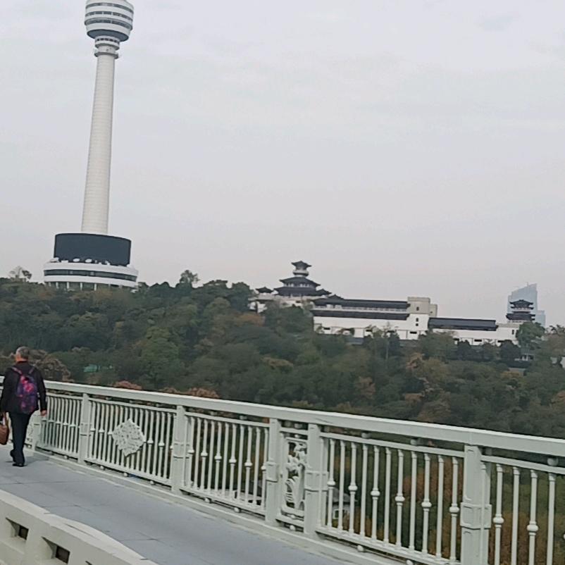 你的眼里只有我