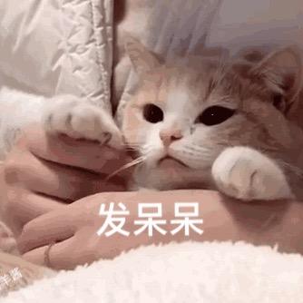 ainedrag倾寒🌬