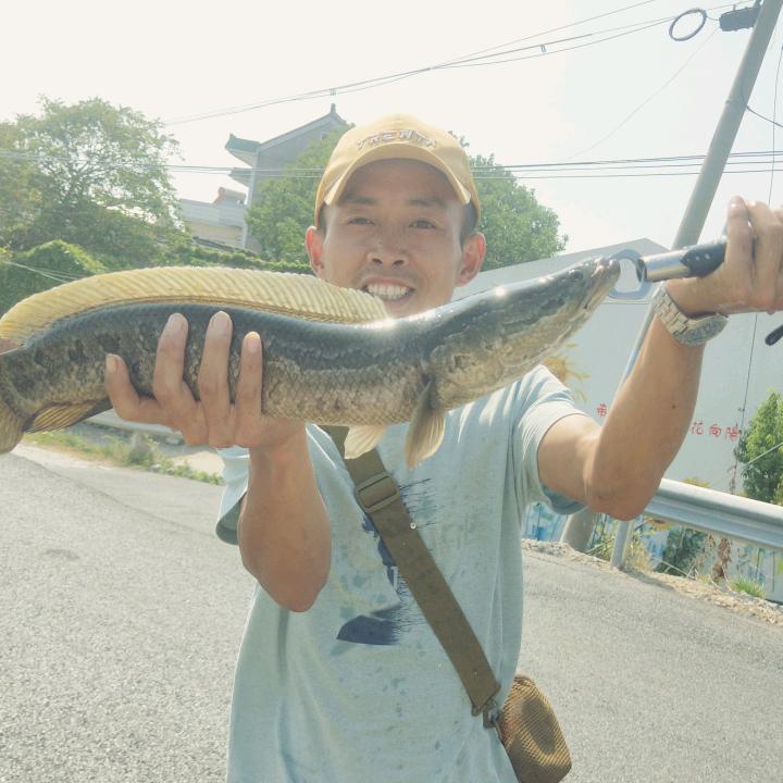 砥砺前行