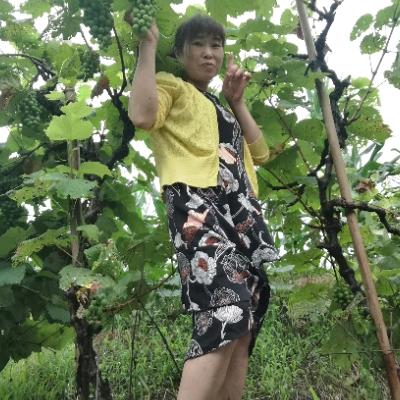 你，我，他，平安一家