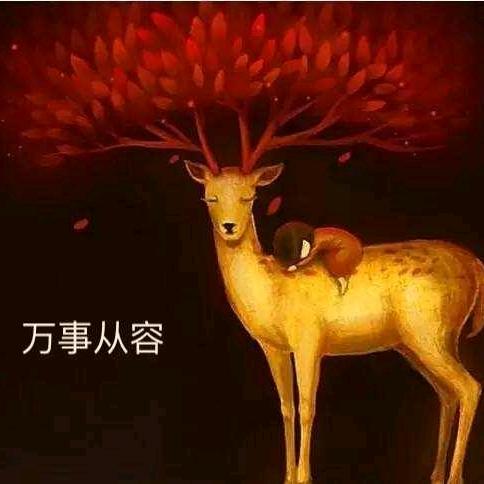 @素心如简✨