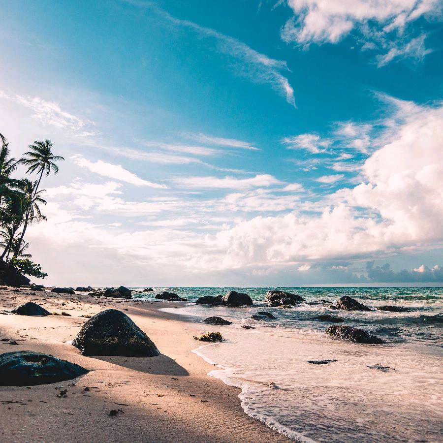 顺风顺水   一顺百顺  ( ㊖ _ ㊖