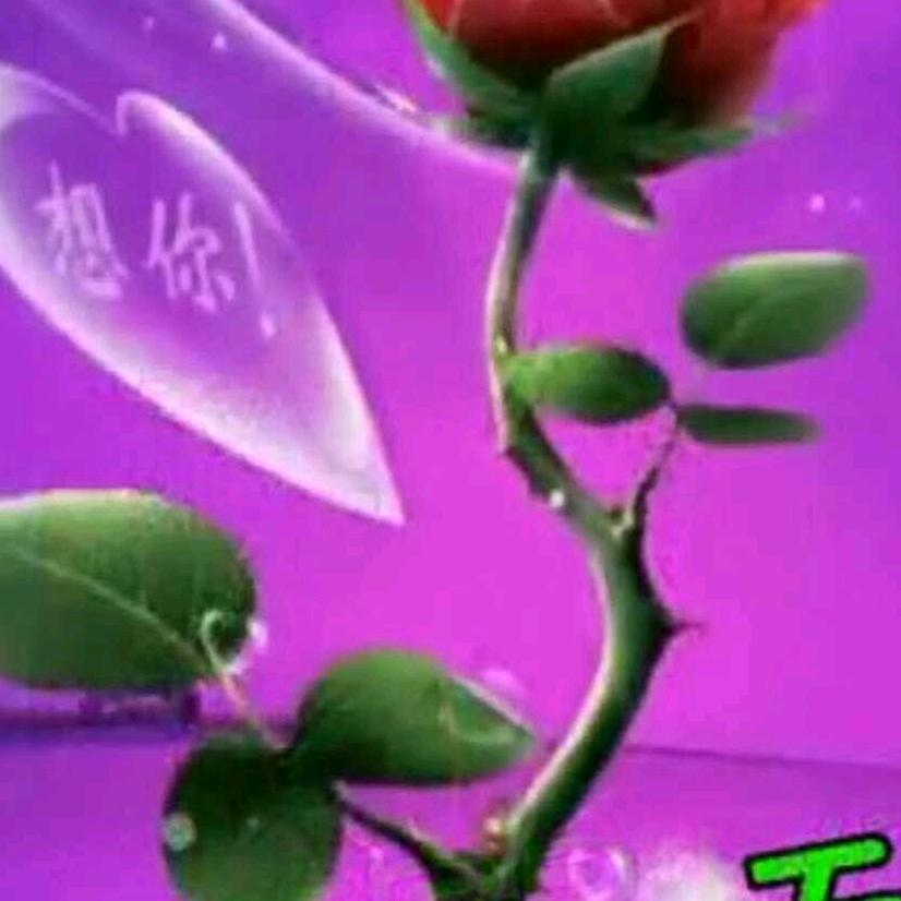活人真累