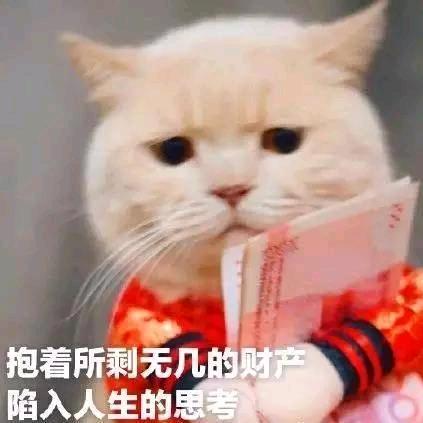 小吴今天吃点啥🍅