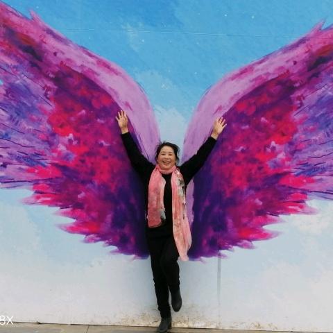 随心所欲，享受生活。