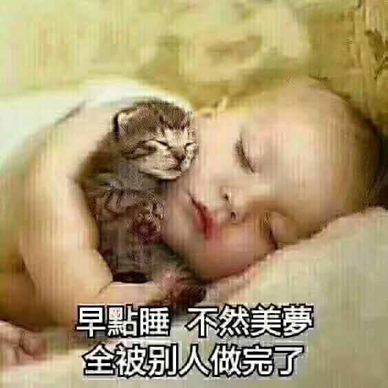 小绵羊1