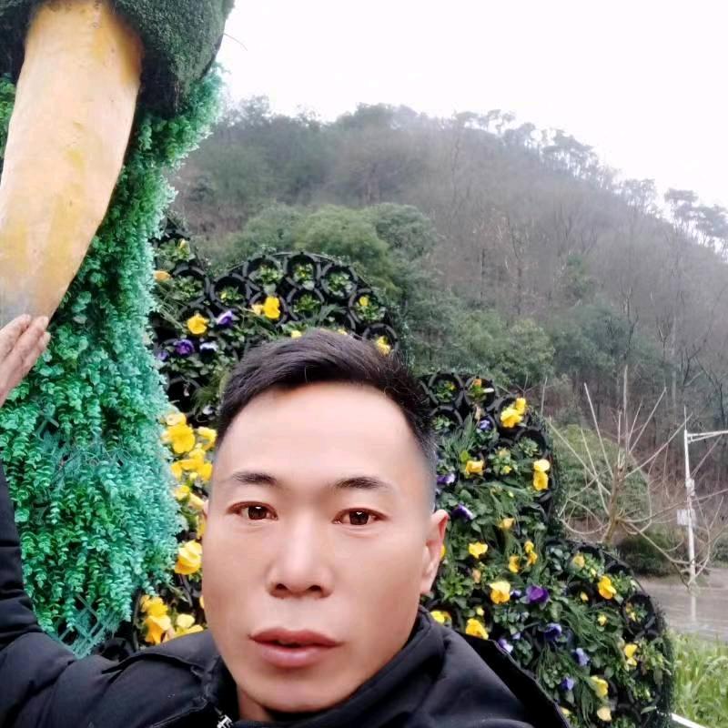 小飞