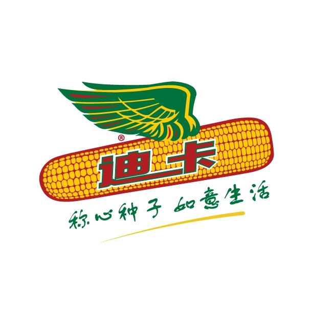 飞翔的迪卡玉米
