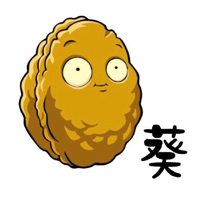 葵花笑春风