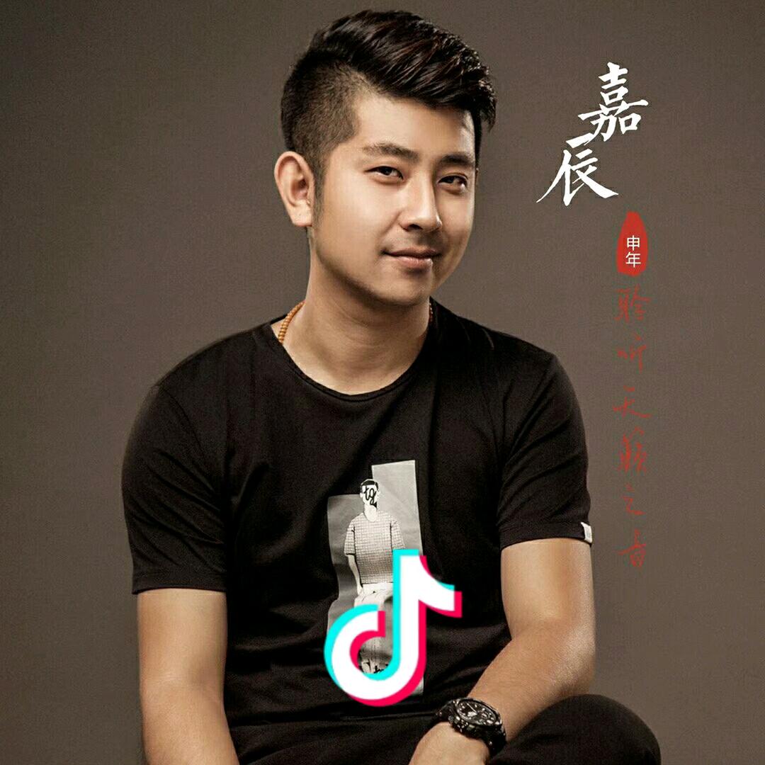 嘉辰小号