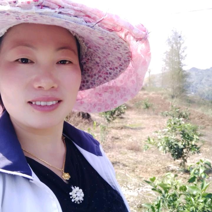 文孃孃的水果农场，有车厘子，樱桃，耙耙柑