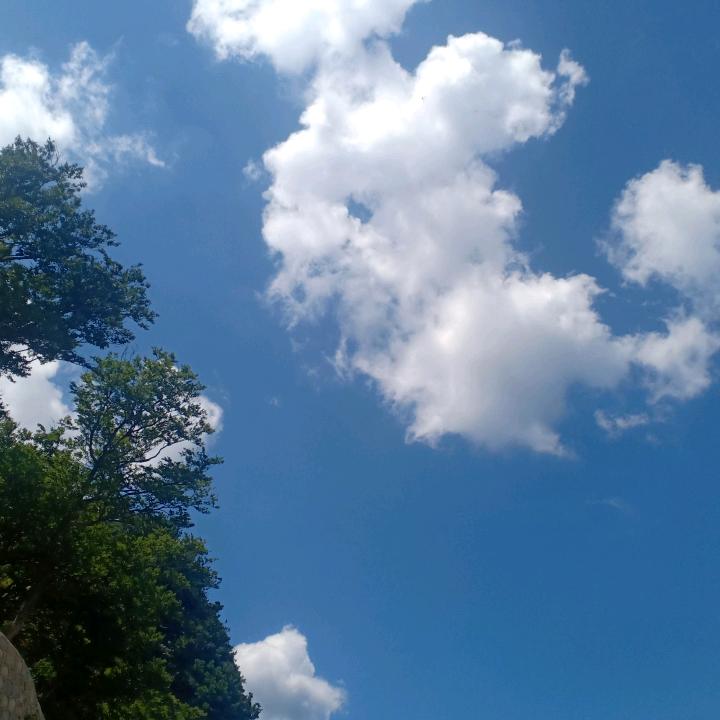 唐糖