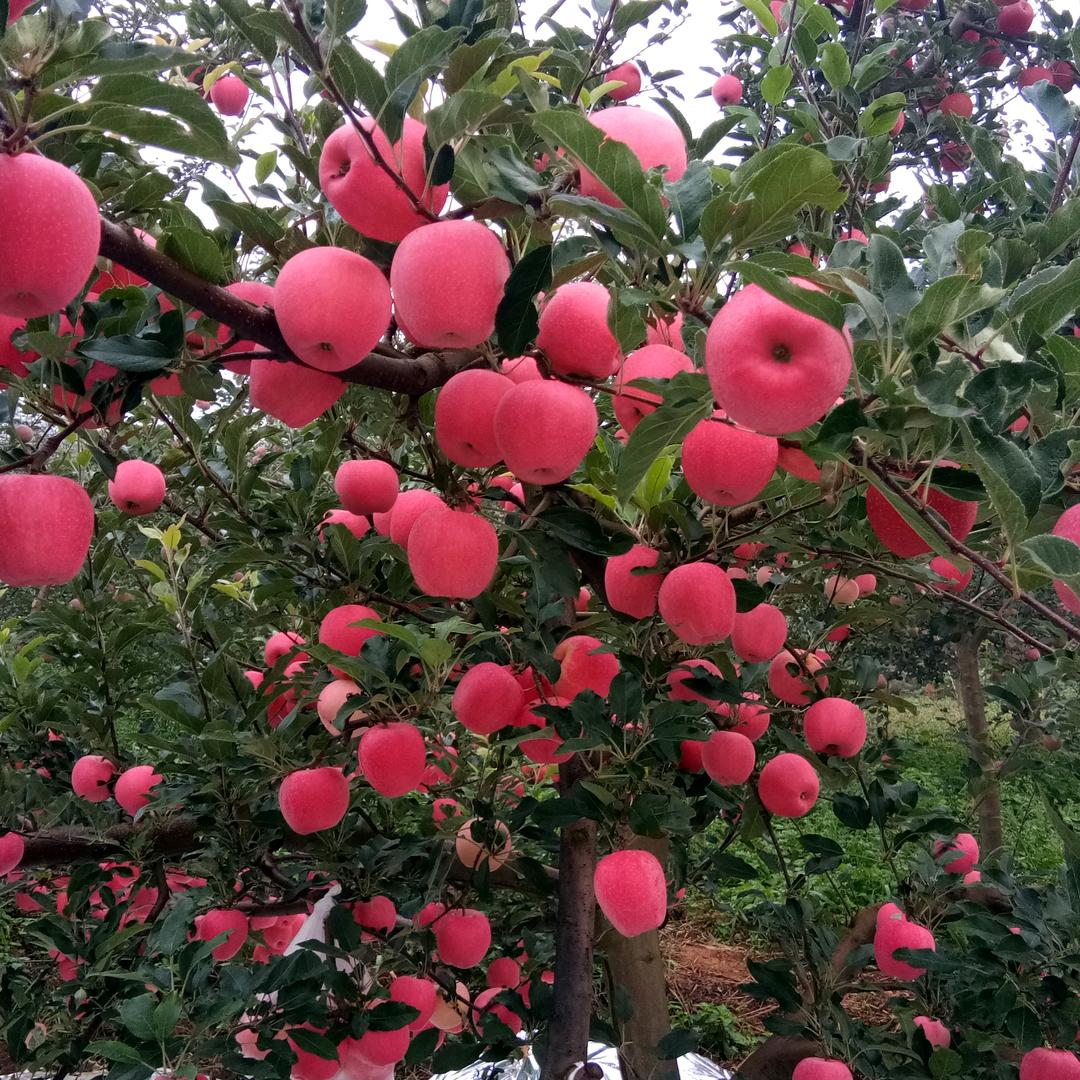 时光不老我们不弃