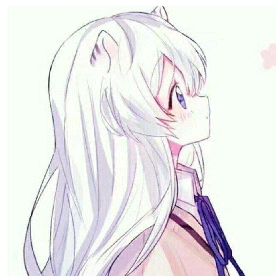 ss超人不会飞