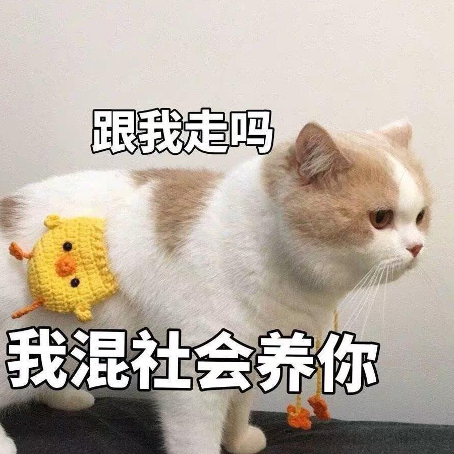 大草原上的奥斯谷