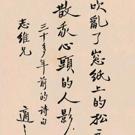 滚滚红尘一杯茶