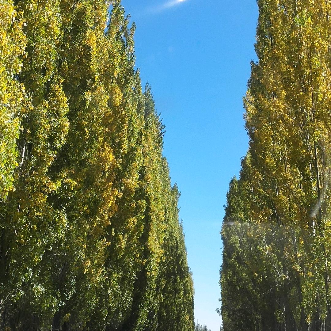 夏师傅工程机械水箱液压箱专修专卖特种焊接