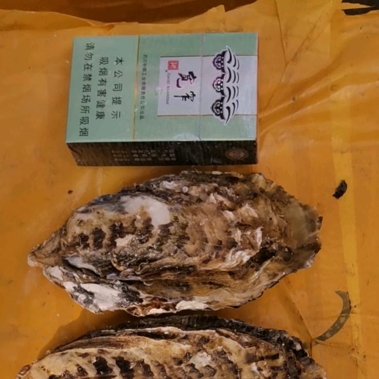 小李斌专业生蚝贝类批发（代购各种海鲜）