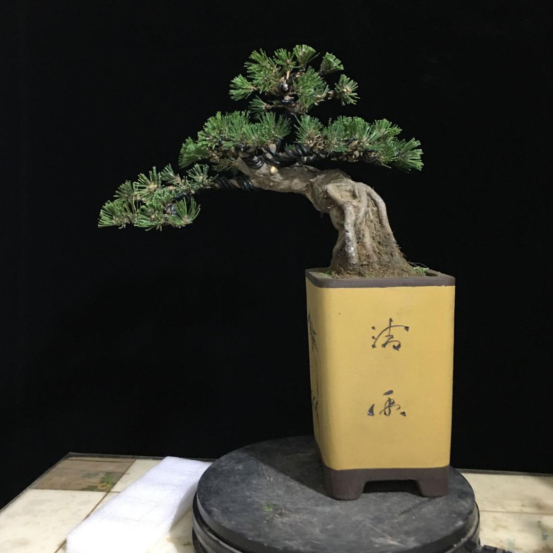 豪忆花卉绿植个体店体验馆