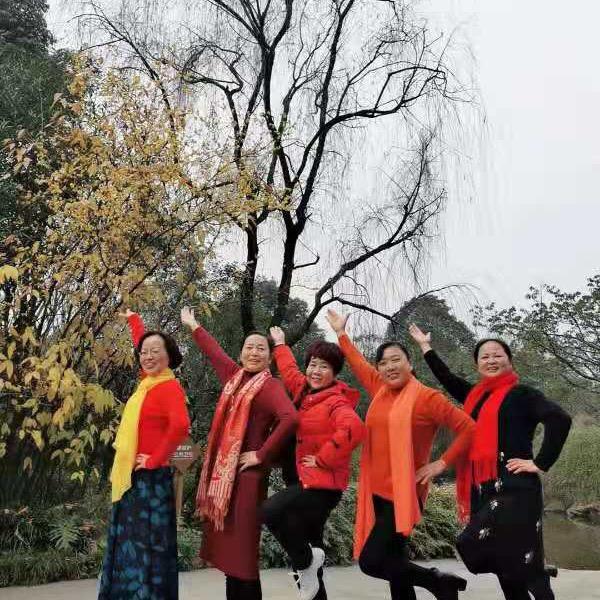 土豆土豆我是马铃薯