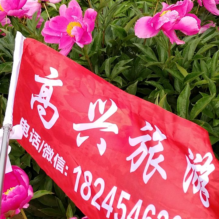 高兴•佳木斯龙运国旅