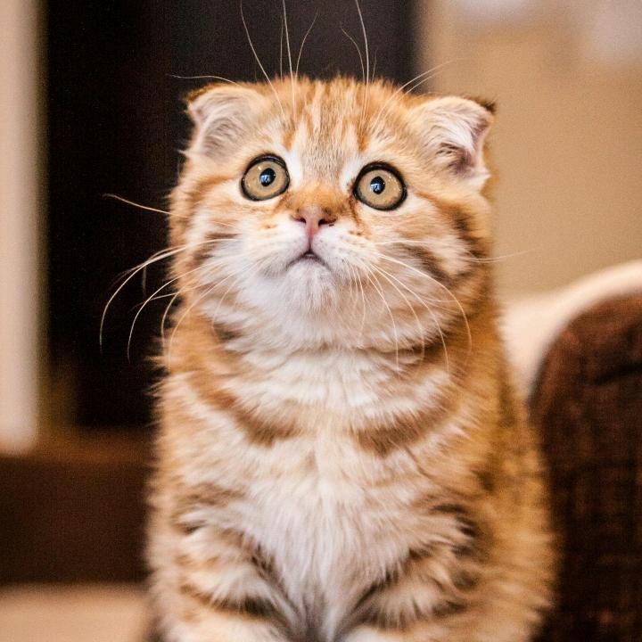 🌴淡抹✨青春🍃