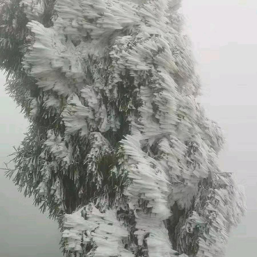 等风等雨也等你