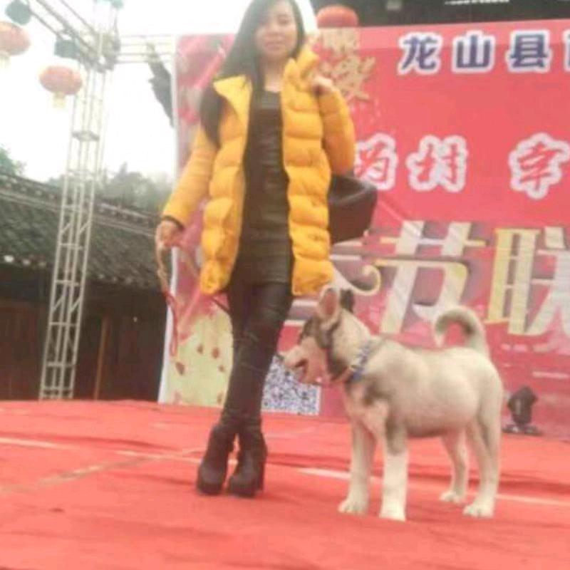 简单就是福