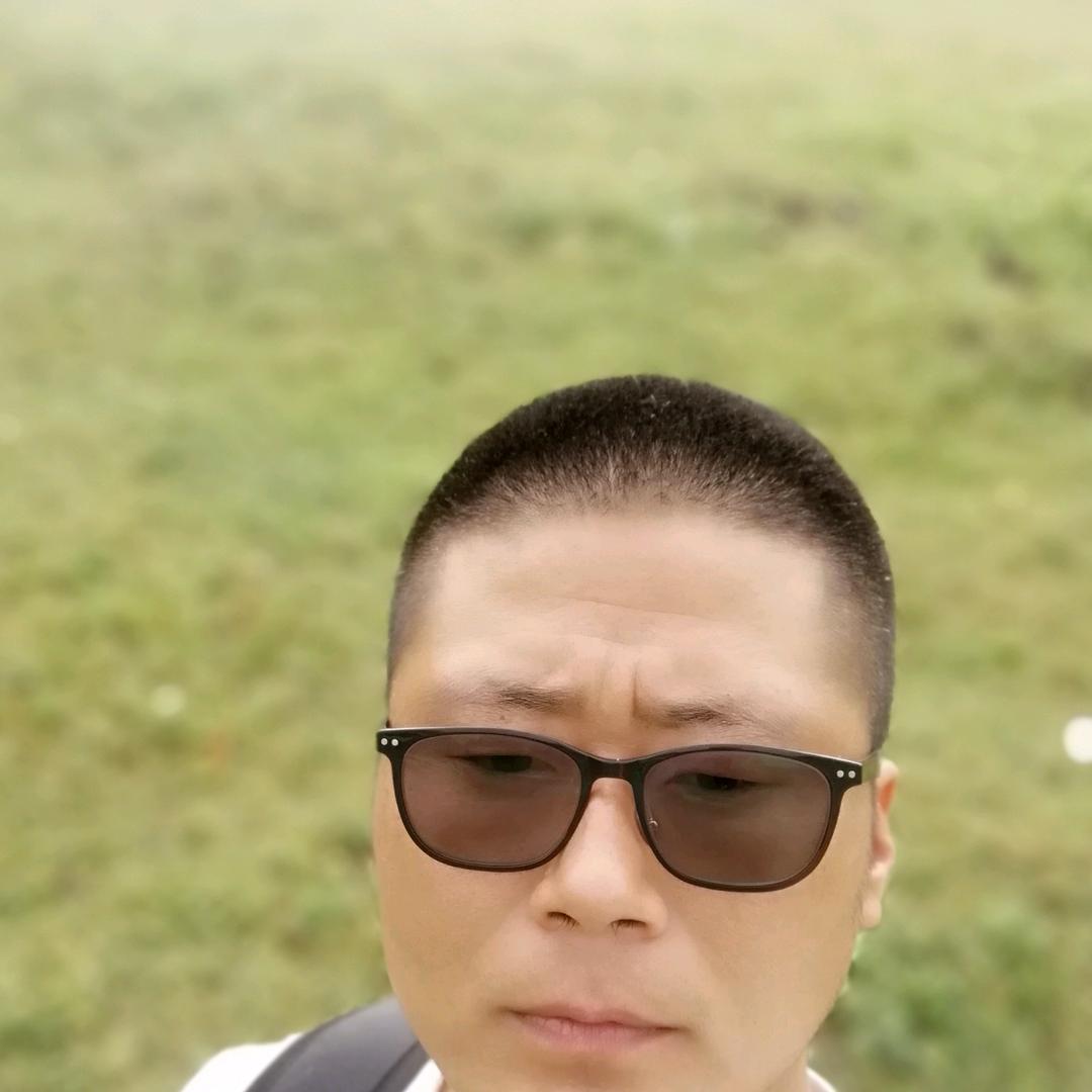 顶顶