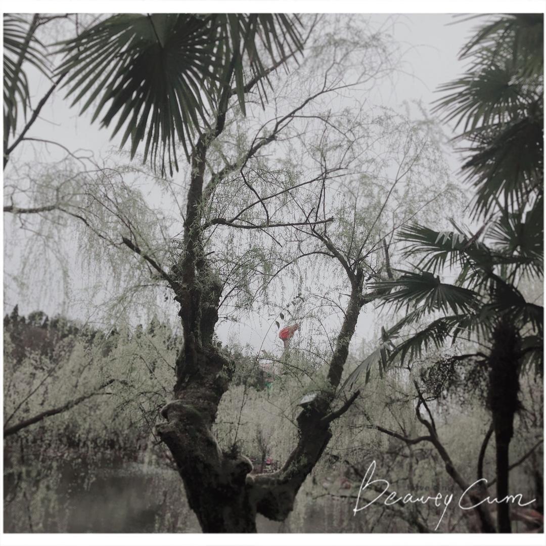 一个不听劝的外星人