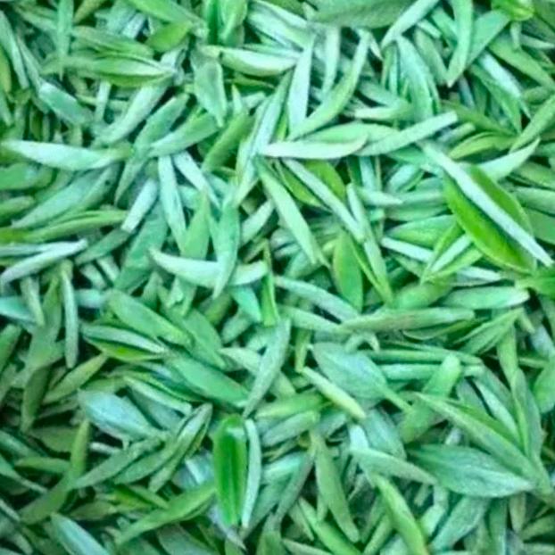 茶蓝天