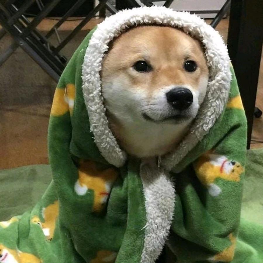 伊莉啦