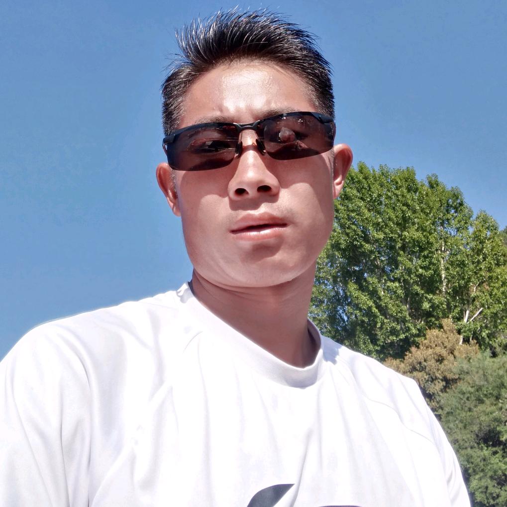 杨飞