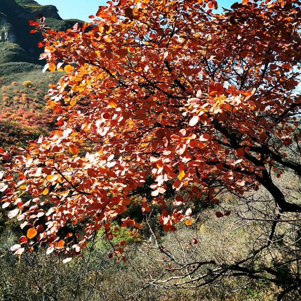 黑色狙击手（摄影爱好者）