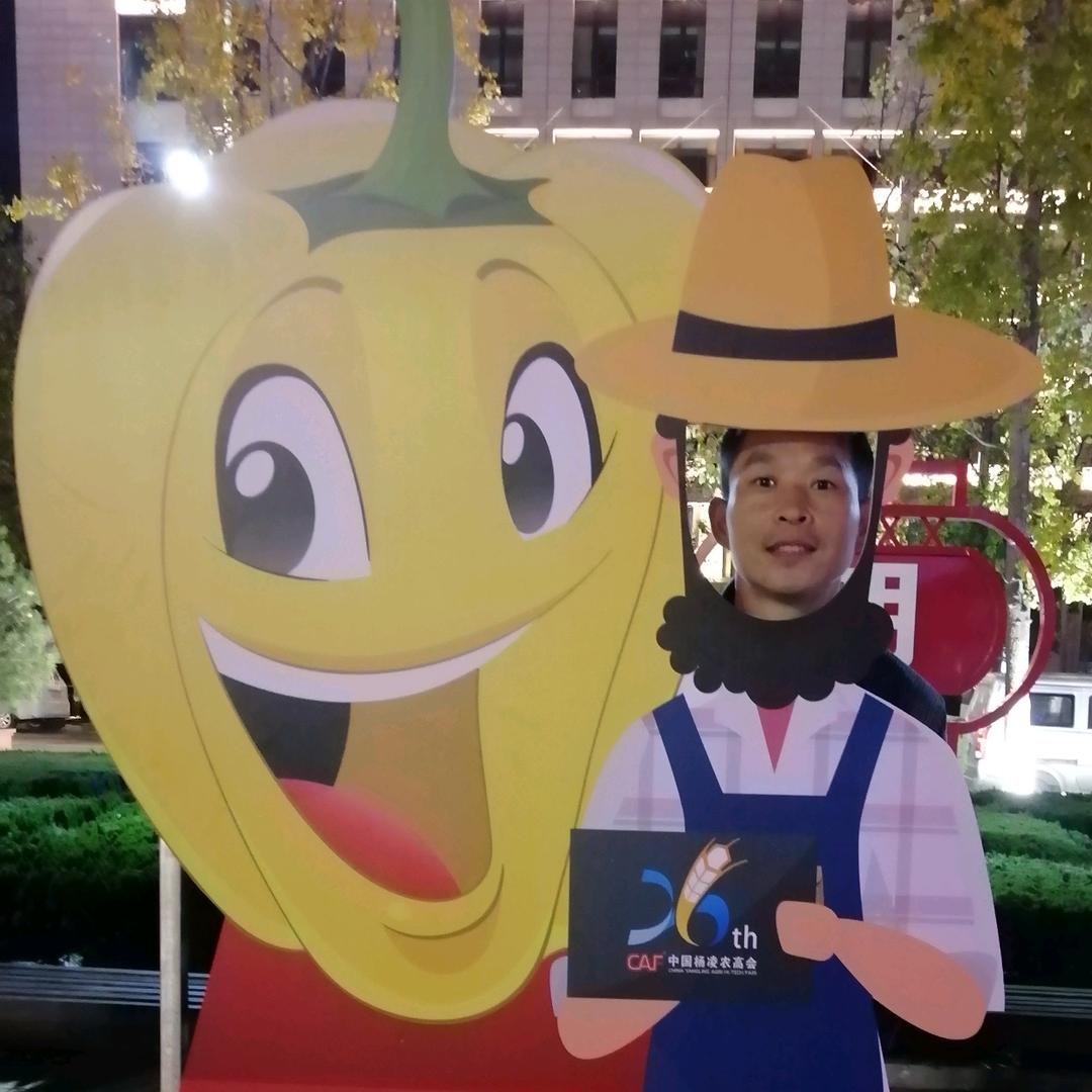 钓鱼岛（车之缘）汽车美容中心