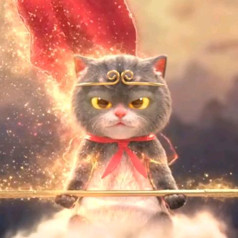 年年哈哈哈哈哈